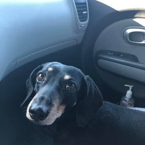 Meet your Posher, Dave